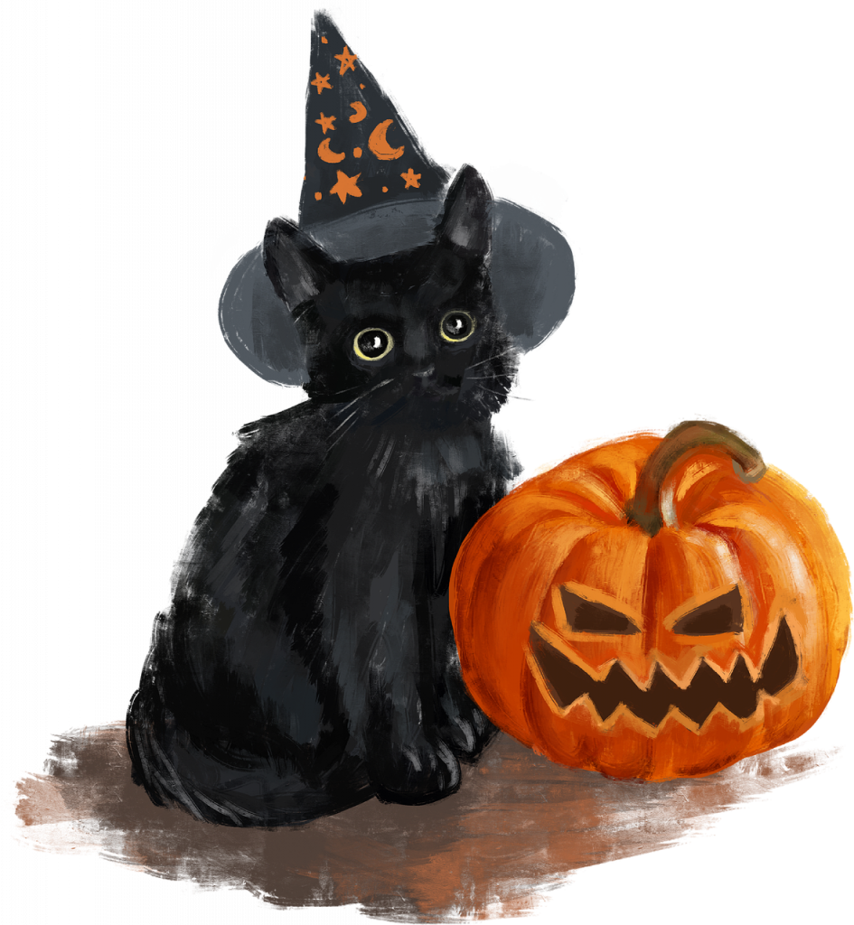 halloween, black cat, pumpkin-6618187.jpg